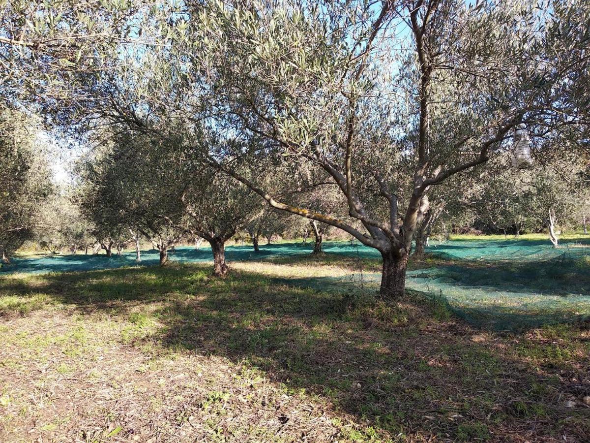 le rocher de Sampzon Buitenkant foto